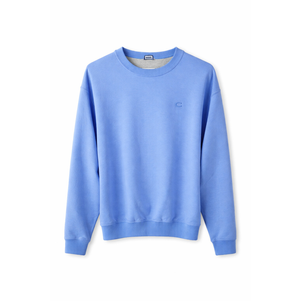 Champion Light Blue Crewneck Sweatshirt Classic Logo Casual Cozy Cotton Blend L